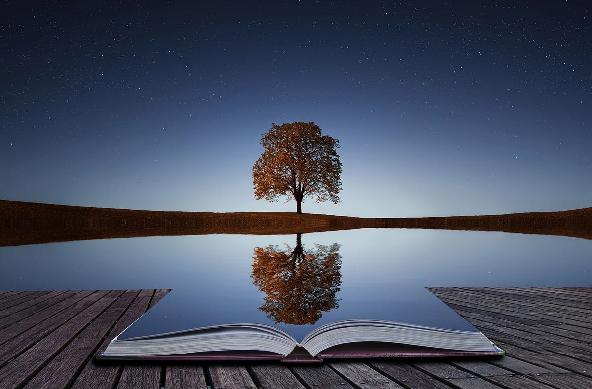 B. The Soul Mirror Reading (30-Min Pre-recorded session)