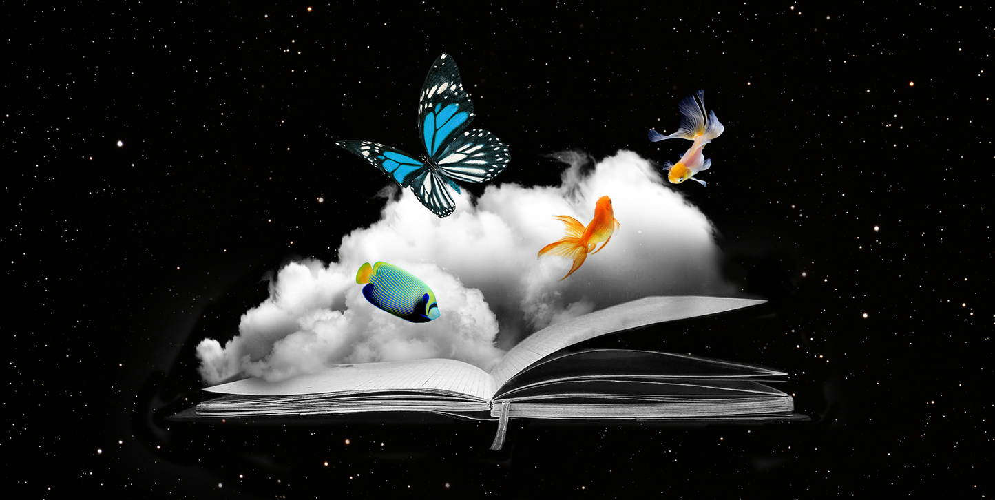 Protect My Dreams Mist