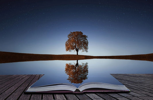 B. The Soul Mirror Reading (30-Min Pre-recorded session)